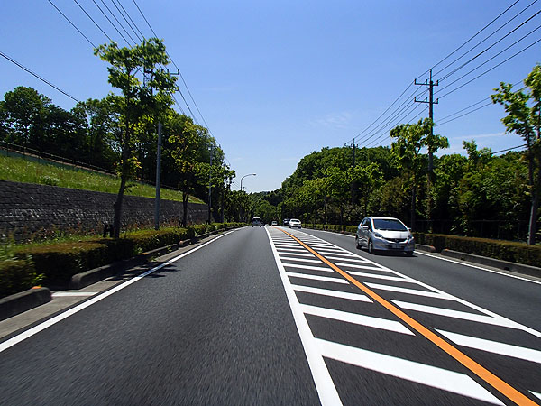 国道２５４号線